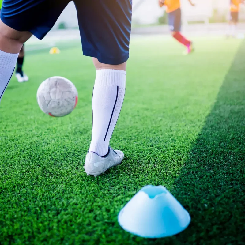 shutterstock_1168749940